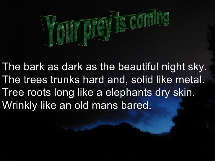 descriptive essay night sky
